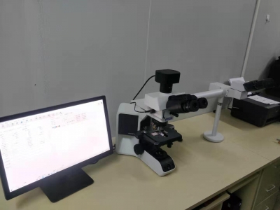 液基細胞學圖文報告系統